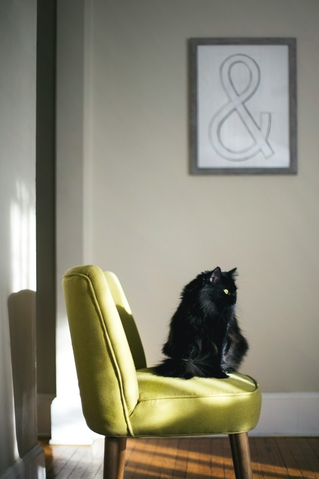 Spring cleaning and maintenance of furniture